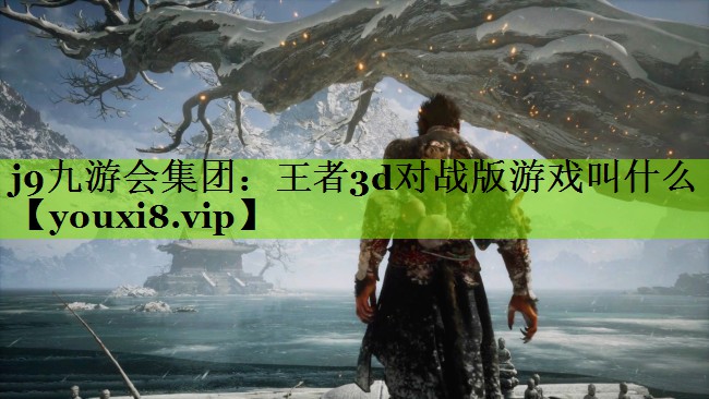 j9九游会集团：王者3d对战版游戏叫什么