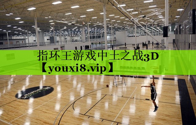 指环王游戏中土之战3D