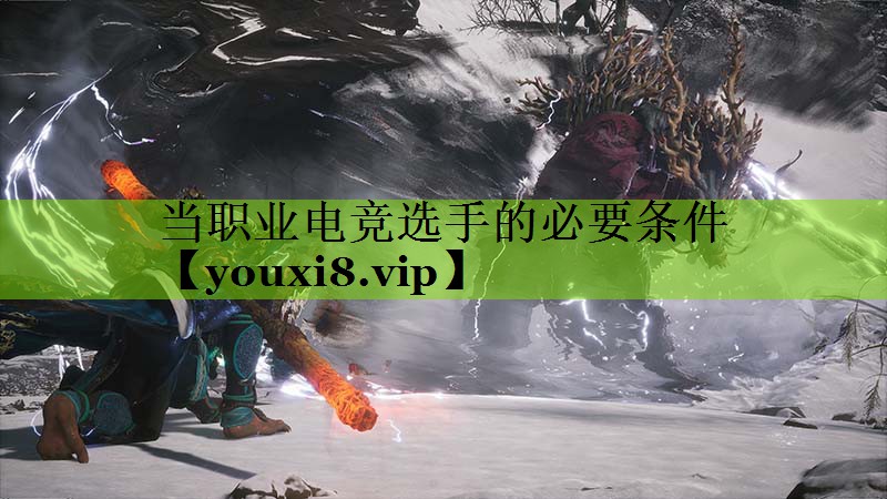 当职业电竞选手的必要条件