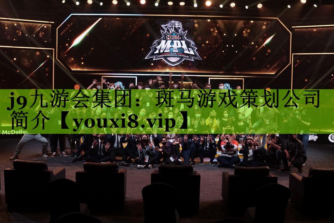 斑马游戏策划公司简介